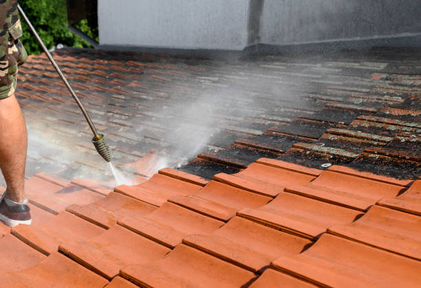 Best Affordable Pressure Washing  in Decherd, TN