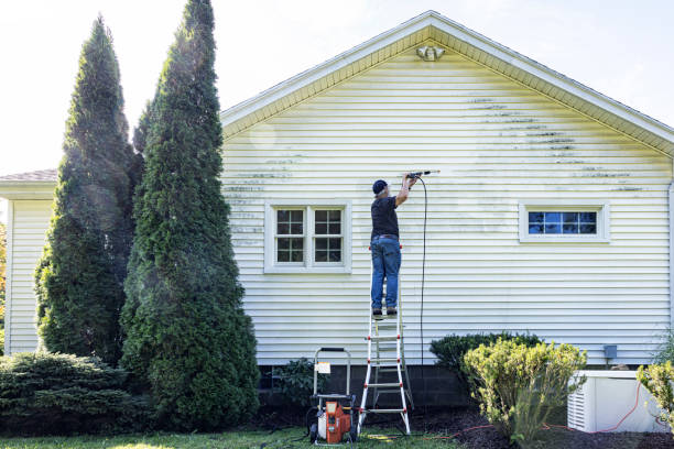 Best Roof Pressure Washing  in Decherd, TN