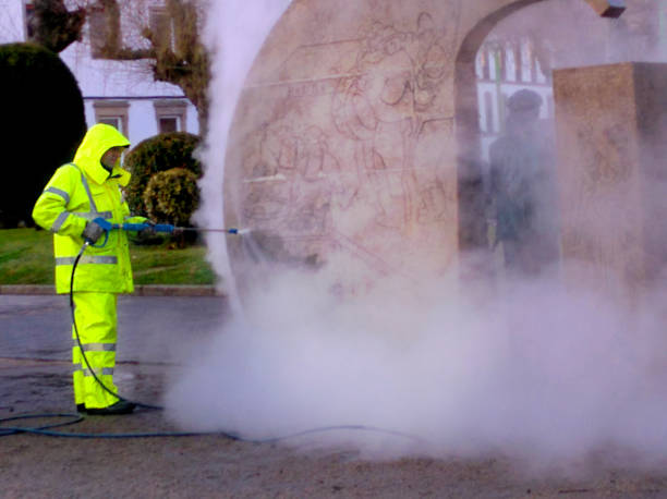 Best Roof Pressure Washing  in Decherd, TN